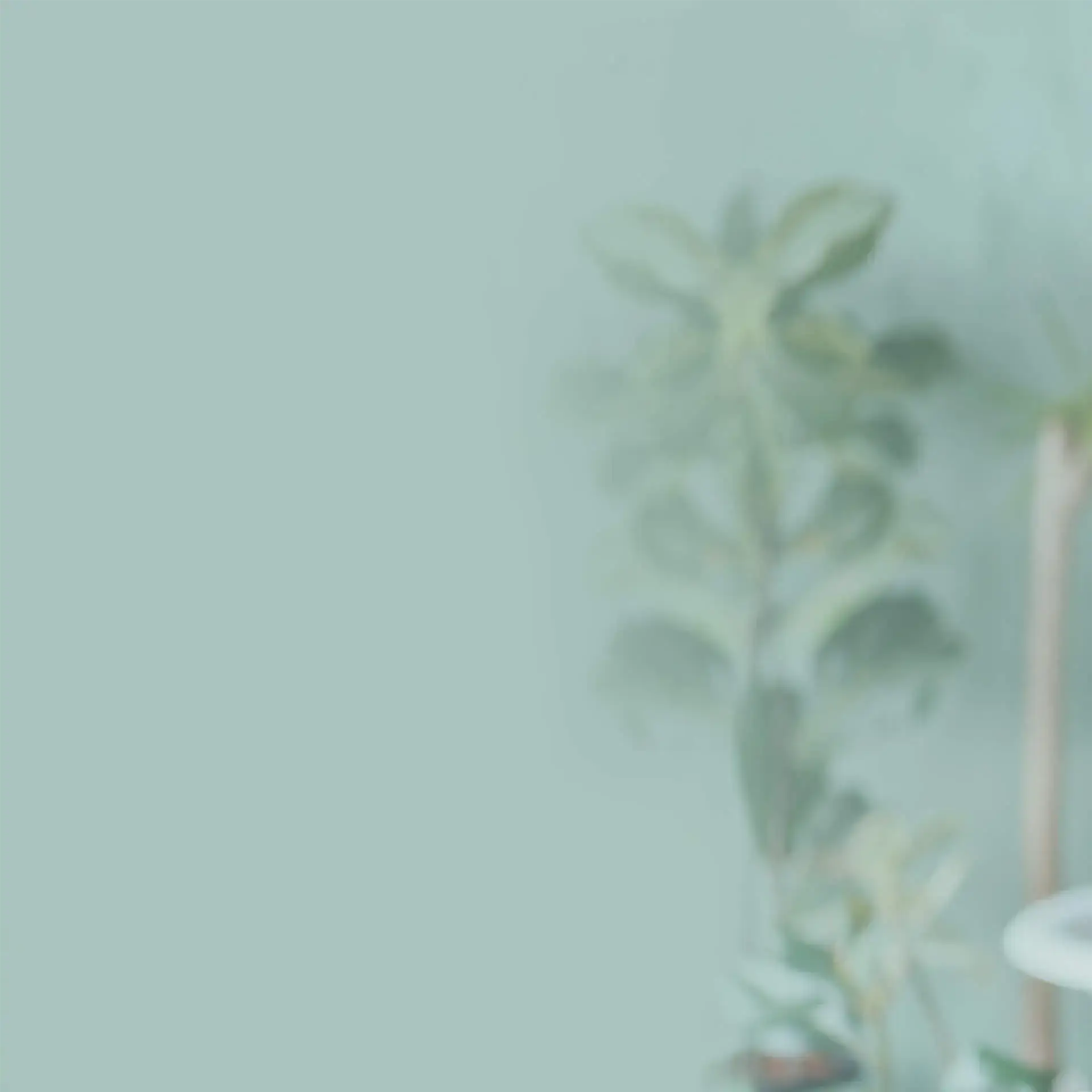 Demo-Horizon-Set-2-Slide-01